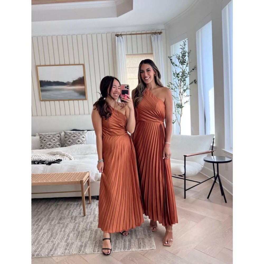 Abercrombie Fitch Giselle Pleated One Shoulder Maxi Copper Terracotta Dress XSP